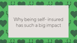 Self insured video